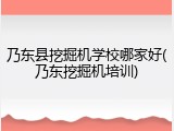 乃东县挖掘机学校哪家好(乃东挖掘机培训)