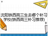 沈阳铁西高三生去哪个补习学校(铁西高三补习推荐)