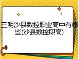 三明沙县数控职业高中有哪些(沙县数控职高)