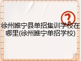 徐州睢宁县单招集训学校在哪里(徐州睢宁单招学校)