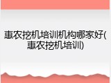 惠农挖机培训机构哪家好(惠农挖机培训)