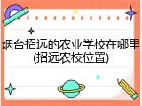 烟台招远的农业学校在哪里(招远农校位置)