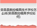 荣昌县数控模具技术学校怎么样(荣昌数控模具学校如何)