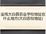 宝鸡太白县农业学校地址在什么地方(太白农校地址)