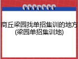 商丘梁园找单招集训的地方(梁园单招集训地)