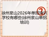 徐州泉山2026年单招培训学校有哪些(徐州泉山单招培训)