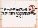 拉萨当雄县单招培训学校正规学校有那些(当雄县单招学校)