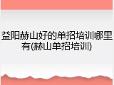 益阳赫山好的单招培训哪里有(赫山单招培训)