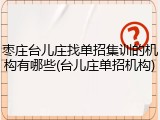 枣庄台儿庄找单招集训的机构有哪些(台儿庄单招机构)