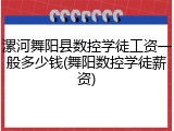 漯河舞阳县数控学徒工资一般多少钱(舞阳数控学徒薪资)
