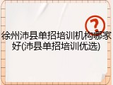 徐州沛县单招培训机构哪家好(沛县单招培训优选)