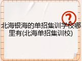 北海银海的单招集训学校哪里有(北海单招集训校)