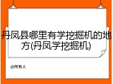 丹凤县哪里有学挖掘机的地方(丹凤学挖掘机)