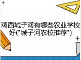 鸡西城子河有哪些农业学校好("城子河农校推荐")