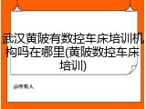武汉黄陂有数控车床培训机构吗在哪里(黄陂数控车床培训)
