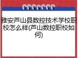 雅安芦山县数控技术学校职校怎么样(芦山数控职校如何)