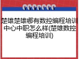 楚雄楚雄哪有数控编程培训中心中职怎么样(楚雄数控编程培训)