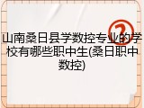 山南桑日县学数控专业的学校有哪些职中生(桑日职中数控)