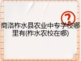 商洛柞水县农业中专学校哪里有(柞水农校在哪)