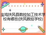 宝鸡扶风县数控加工技术学校有哪些(扶风数控学校)