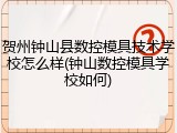 贺州钟山县数控模具技术学校怎么样(钟山数控模具学校如何)