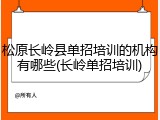 松原长岭县单招培训的机构有哪些(长岭单招培训)