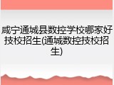 咸宁通城县数控学校哪家好技校招生(通城数控技校招生)