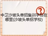 中卫沙坡头单招集训学校在哪里(沙坡头单招学校)