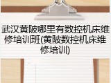 武汉黄陂哪里有数控机床维修培训班(黄陂数控机床维修培训)