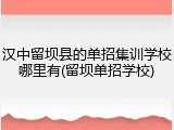 汉中留坝县的单招集训学校哪里有(留坝单招学校)