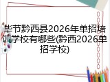 毕节黔西县2026年单招培训学校有哪些(黔西2026单招学校)
