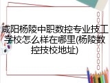 咸阳杨陵中职数控专业技工学校怎么样在哪里(杨陵数控技校地址)