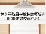 林芝墨脱县学数控编程培训班(墨脱数控编程班)