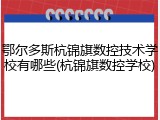 鄂尔多斯杭锦旗数控技术学校有哪些(杭锦旗数控学校)