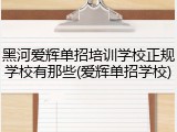 黑河爱辉单招培训学校正规学校有那些(爱辉单招学校)