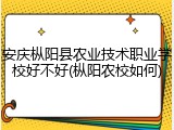 安庆枞阳县农业技术职业学校好不好(枞阳农校如何)