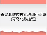青岛北数控技能培训中职班(青岛北数控班)