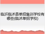 临沂临沭县单招集训学校有哪些(临沭单招学校)
