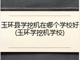 玉环县学挖机在哪个学校好(玉环学挖机学校)
