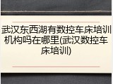 武汉东西湖有数控车床培训机构吗在哪里(武汉数控车床培训)