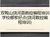 双鸭山饶河县数控编程培训学校哪家好点(饶河数控编程培训)