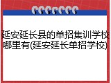 延安延长县的单招集训学校哪里有(延安延长单招学校)