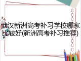 武汉新洲高考补习学校哪家比较好(新洲高考补习推荐)