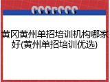 黄冈黄州单招培训机构哪家好(黄州单招培训优选)