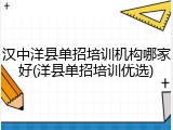 汉中洋县单招培训机构哪家好(洋县单招培训优选)