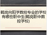 鹤岗向阳学数控专业的学校有哪些职中生(鹤岗职中数控学校)