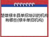楚雄禄丰县单招培训的机构有哪些(禄丰单招机构)