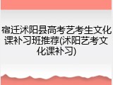 宿迁沭阳县高考艺考生文化课补习班推荐(沭阳艺考文化课补习)