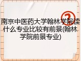 南京中医药大学翰林学院读什么专业比较有前景(翰林学院前景专业)