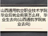 山西通用航空职业技术学院毕业后就业前景怎么样，毕业生去向(山西通航学院就业去向)